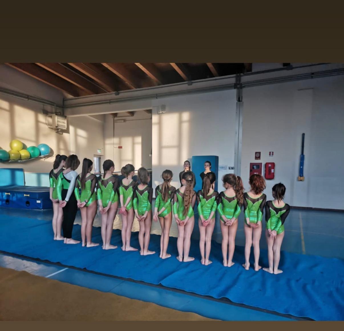 Ginnastica artistica